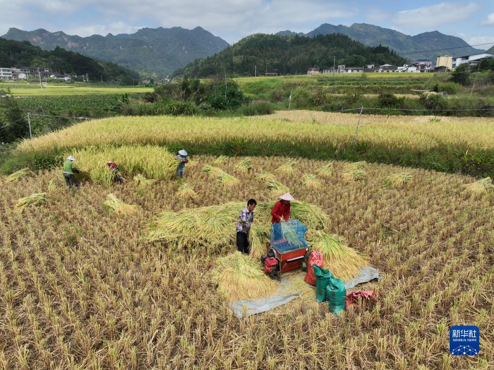 菠菜论坛社区